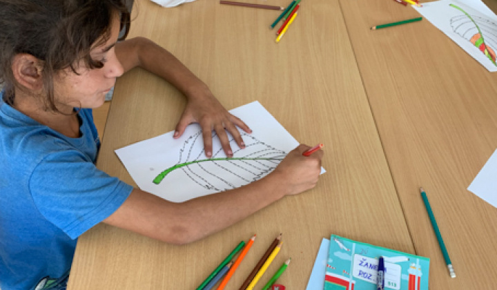 2. fotografia fotogalérie Fotodokumentácia